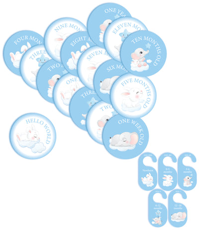 Baby Blue Milestone Set/Divider Package