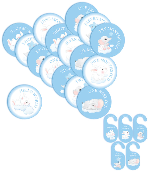 Baby Blue Milestone Set/Divider Package