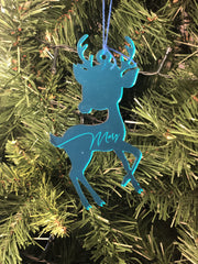 Baby Raindeer
